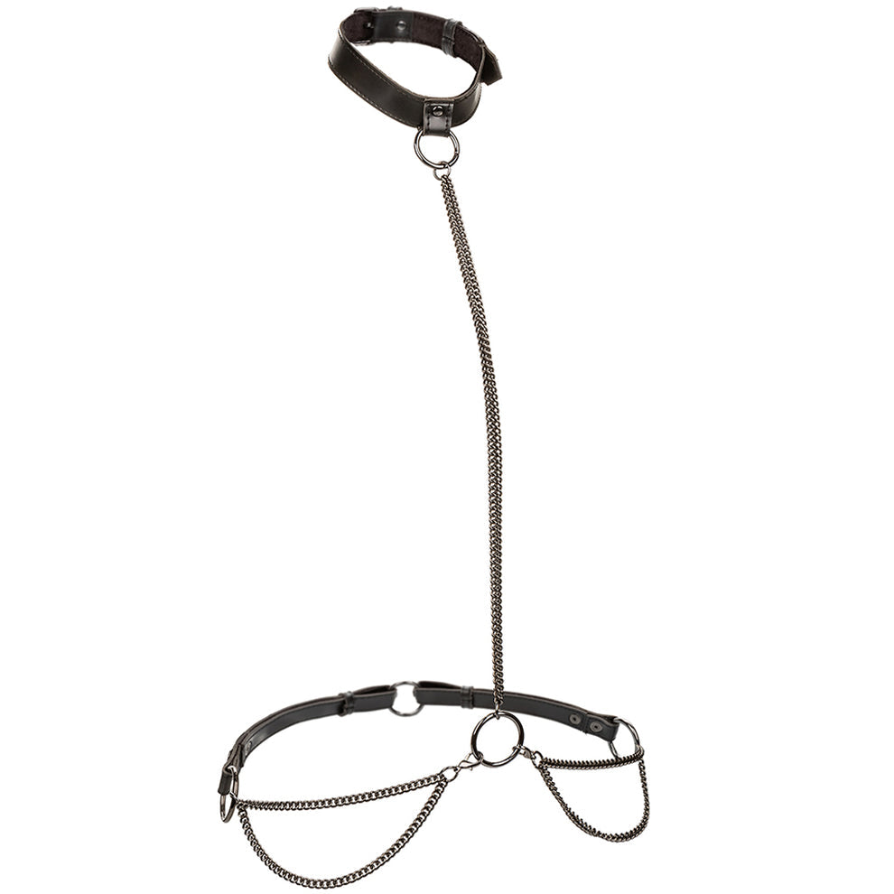 EUFORIA COLLAR