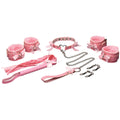 BONDAGE PINK MASTER SET