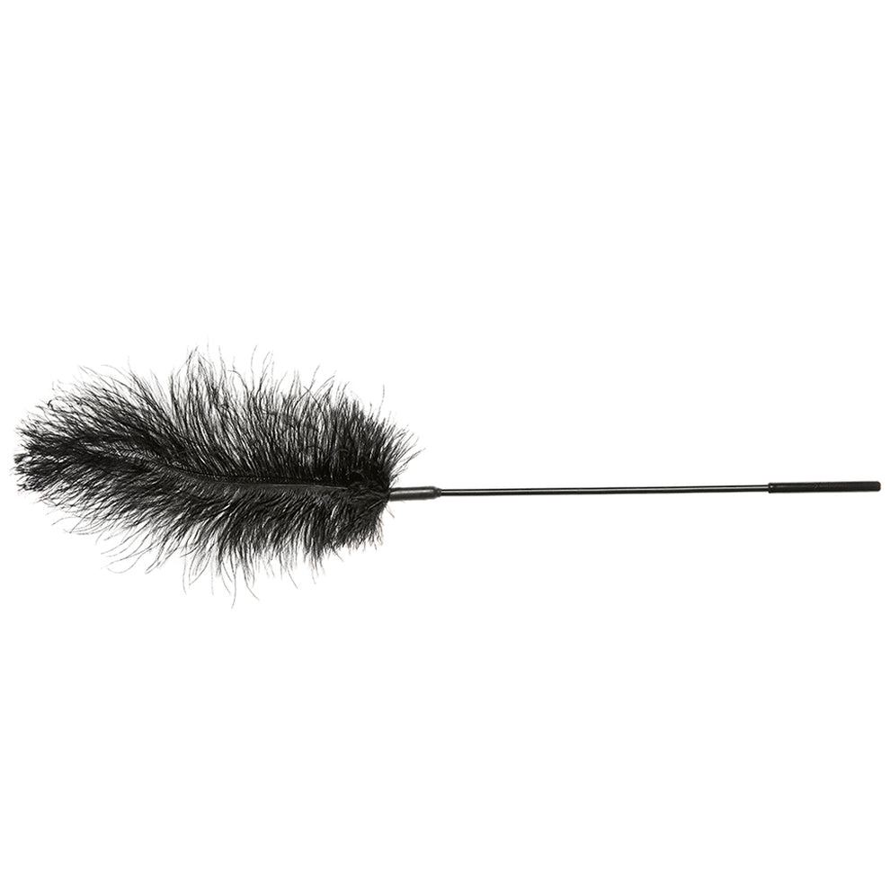 FEATHER BODY