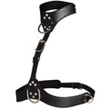 VIXEN HARNESS