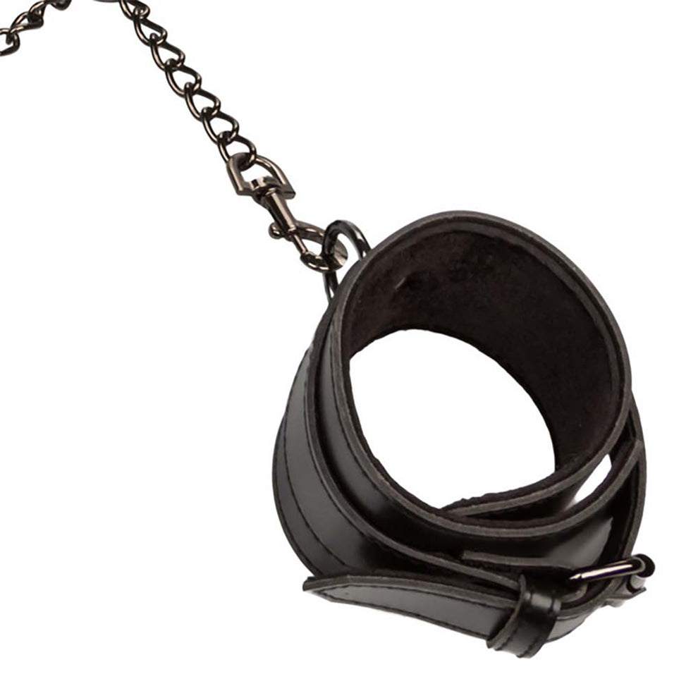 EUFORIA HOGTIE